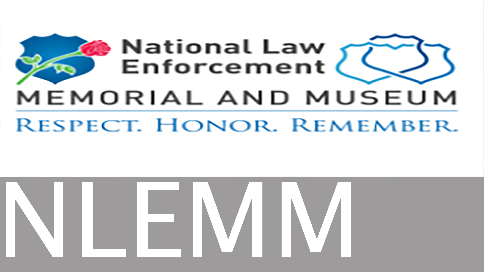 NLEMM